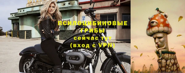 mix Алексин