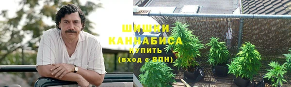 соль ск Алексеевка